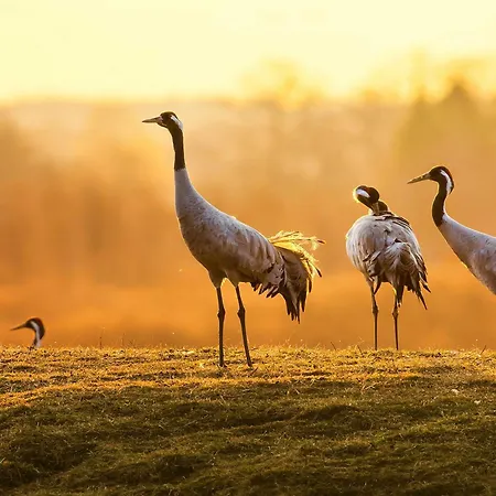 شقة Am Mueritzer Hafen فارين